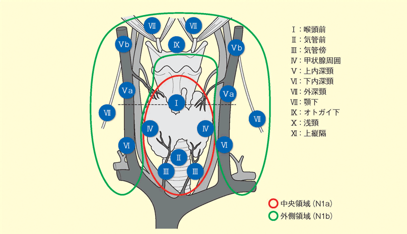 p.74　図1　甲状腺の所属リンパ節