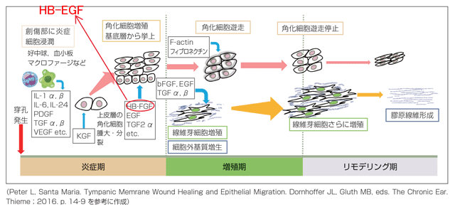 p.21　図内